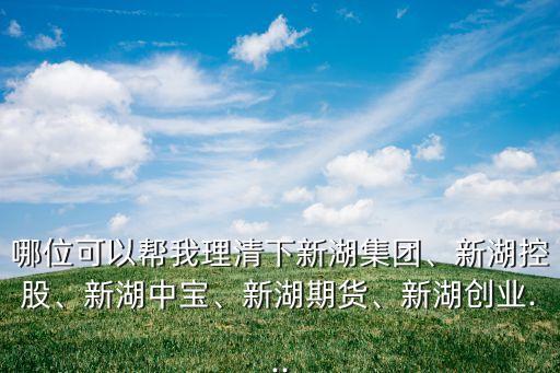 哪位可以幫我理清下新湖集團(tuán)、新湖控股、新湖中寶、新湖期貨、新湖創(chuàng)業(yè)...