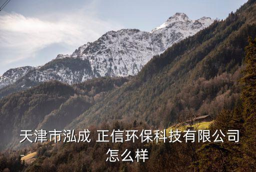  天津市泓成 正信環(huán)?？萍加邢薰驹趺礃? class=