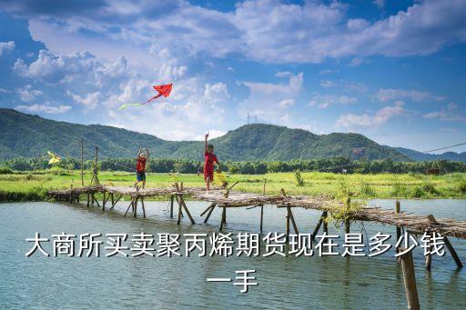  大商所買(mǎi)賣(mài)聚丙烯期貨現(xiàn)在是多少錢(qián)一手