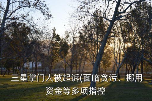  三星掌門人被起訴(面臨貪污、挪用資金等多項指控