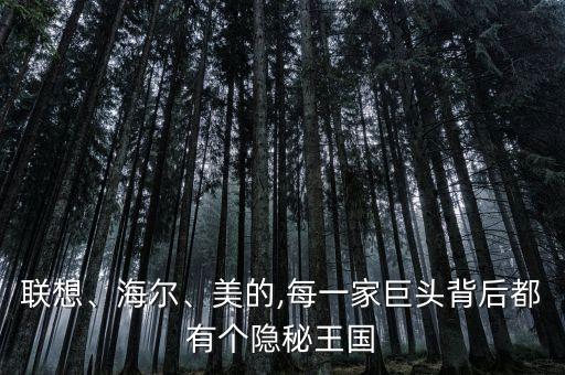 聯(lián)想、海爾、美的,每一家巨頭背后都有個隱秘王國
