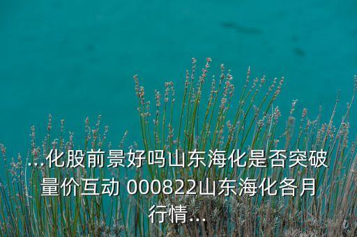 ...化股前景好嗎山東?；欠裢黄屏績r(jià)互動 000822山東?；髟滦星?..