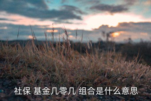全國社?；?06組合,社?；?06組合牛不牛