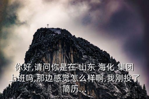 你好,請(qǐng)問你是在 山東 ?；?集團(tuán)上班嗎,那邊感覺怎么樣啊,我剛投了簡(jiǎn)歷...