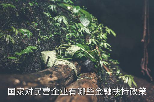 政府性擔?；?政府創(chuàng)業(yè)擔?；鹗菄业膯?/></a></span><span id=