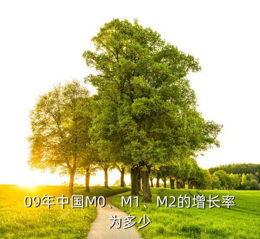 09年中國(guó)M0、M1、M2的增長(zhǎng)率為多少