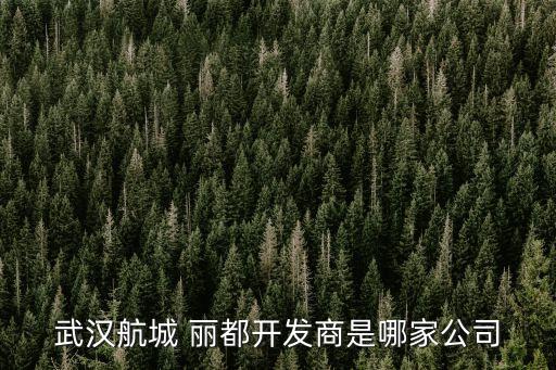 武漢航城 麗都開(kāi)發(fā)商是哪家公司