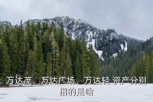 萬達茂、萬達廣場、萬達輕 資產(chǎn)分別指的是啥