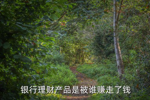  銀行理財產品是被誰賺走了錢