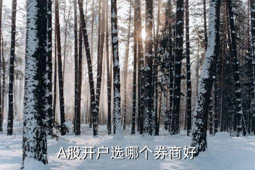 A股開(kāi)戶(hù)選哪個(gè)券商好