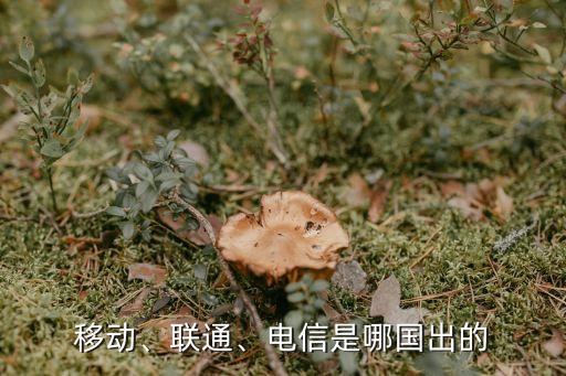 移動(dòng)、聯(lián)通、電信是哪國(guó)出的