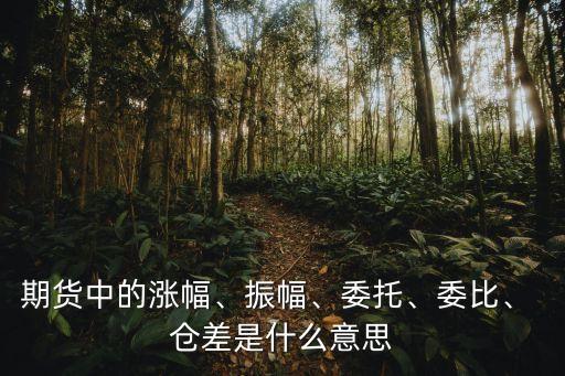 期貨中的漲幅、振幅、委托、委比、 倉(cāng)差是什么意思
