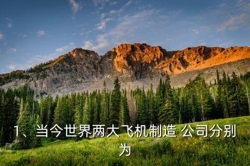 1、當(dāng)今世界兩大飛機(jī)制造 公司分別為