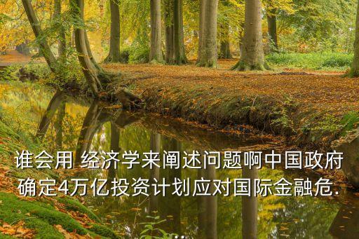 誰會用 經濟學來闡述問題啊中國政府確定4萬億投資計劃應對國際金融危...