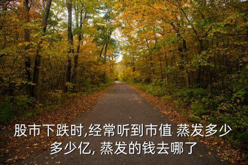 股市下跌時(shí),經(jīng)常聽(tīng)到市值 蒸發(fā)多少多少億, 蒸發(fā)的錢(qián)去哪了