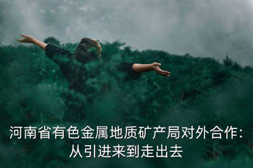 河南省有色金屬地質礦產(chǎn)局對外合作:從引進來到走出去