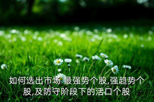 如何選出市場 最強(qiáng)勢個股,強(qiáng)趨勢個股,及防守階段下的活口個股