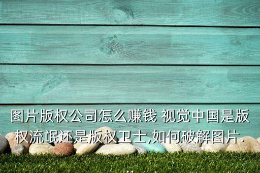 圖片版權(quán)公司怎么賺錢(qián) 視覺(jué)中國(guó)是版權(quán)流氓還是版權(quán)衛(wèi)士,如何破解圖片...