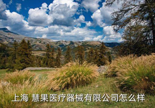 上?；酃悄?上海同果智能科技