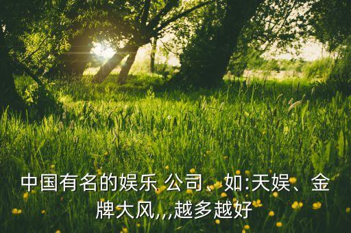 中國有名的娛樂 公司、如:天娛、金牌大風(fēng),,,越多越好