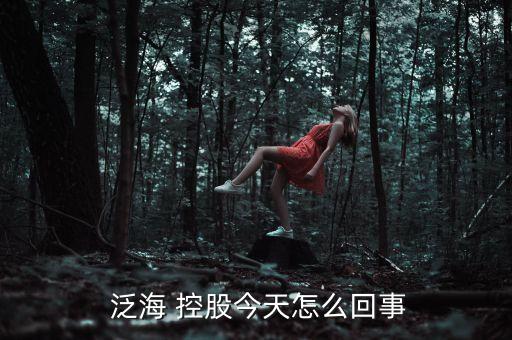 泛海控股股票,000046泛?？毓晒善?/></a></span><span id=