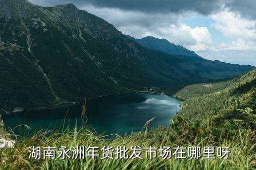 湖南中拓瑞通汽車(chē)銷售服務(wù)有限公司