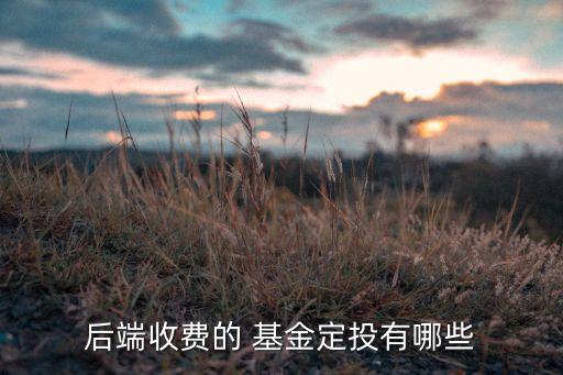 招商成長(zhǎng)基金,招商優(yōu)質(zhì)成長(zhǎng)基金凈值查詢(xún)