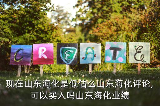 現(xiàn)在山東?；堑凸烂瓷綎|?；u論,可以買入嗎山東?；瘶I(yè)績