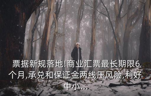  票據(jù)新規(guī)落地!商業(yè)匯票最長期限6個月,承兌和保證金兩線壓風(fēng)險(xiǎn),利好中小...