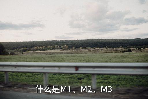 什么是M1、M2、M3