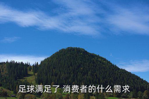 足球滿(mǎn)足了 消費(fèi)者的什么需求
