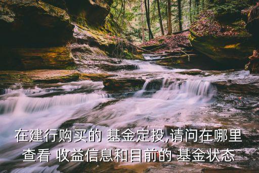 在建行購買的 基金定投,請(qǐng)問在哪里查看 收益信息和目前的 基金狀態(tài)
