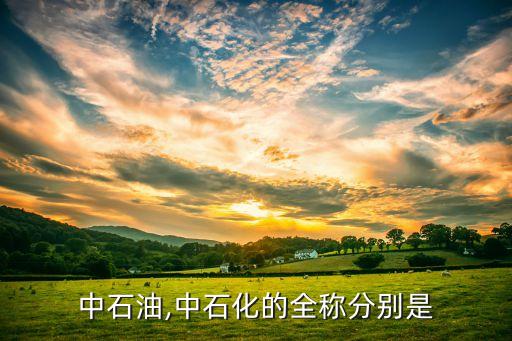 中石油,中石化的全稱(chēng)分別是