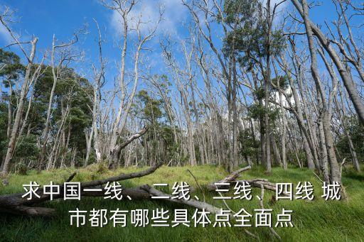 求中國(guó)一線(xiàn)、 二線(xiàn)、三線(xiàn)、四線(xiàn) 城市都有哪些具體點(diǎn)全面點(diǎn)