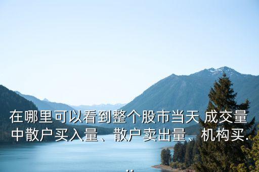 在哪里可以看到整個(gè)股市當(dāng)天 成交量中散戶買(mǎi)入量、散戶賣(mài)出量、機(jī)構(gòu)買(mǎi)...
