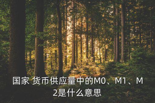 國(guó)家 貨幣供應(yīng)量中的M0、M1、M2是什么意思
