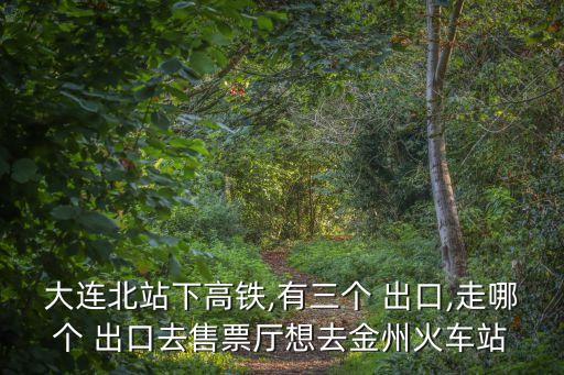 大連北站下高鐵,有三個(gè) 出口,走哪個(gè) 出口去售票廳想去金州火車(chē)站