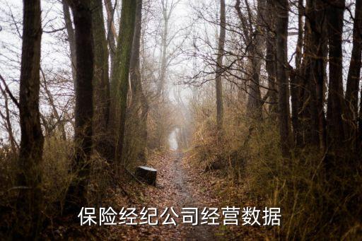 保險公司通過保險中介機(jī)構(gòu)