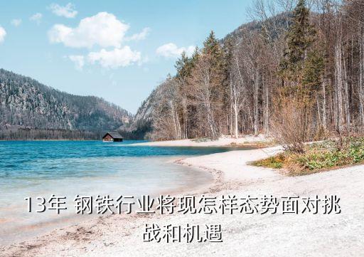 13年 鋼鐵行業(yè)將現怎樣態(tài)勢面對挑戰(zhàn)和機遇