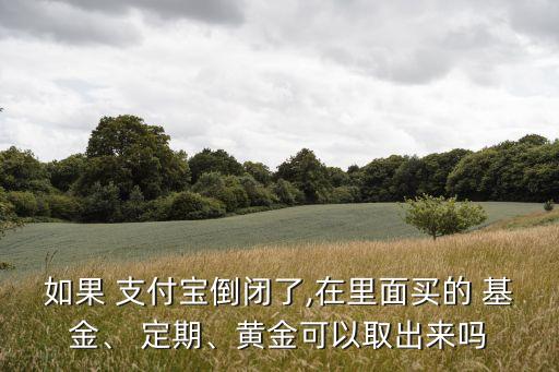 如果 支付寶倒閉了,在里面買的 基金、 定期、黃金可以取出來嗎