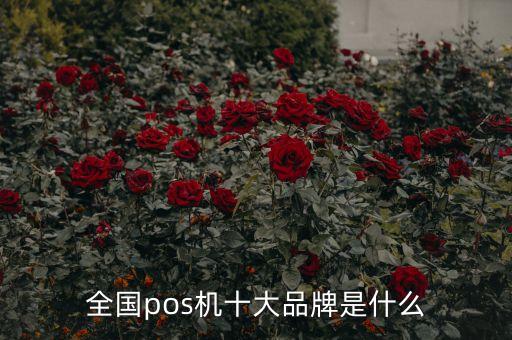 全國pos機(jī)十大品牌是什么
