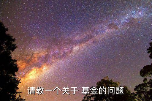 請教一個關于 基金的問題