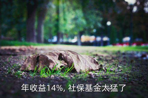 年收益14%, 社?；鹛土? class=