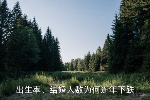 出生率、結(jié)婚人數(shù)為何連年下跌