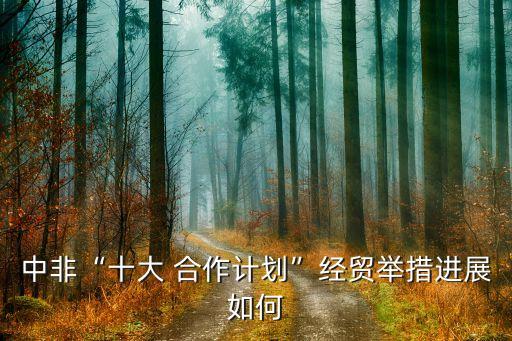 中非“十大 合作計劃”經(jīng)貿(mào)舉措進展如何