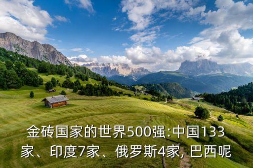 金磚國家的世界500強(qiáng):中國133家、印度7家、俄羅斯4家, 巴西呢