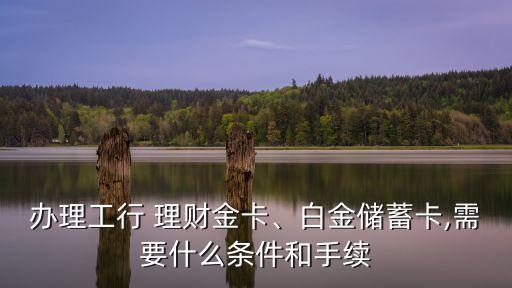 辦理工行 理財金卡、白金儲蓄卡,需要什么條件和手續(xù)