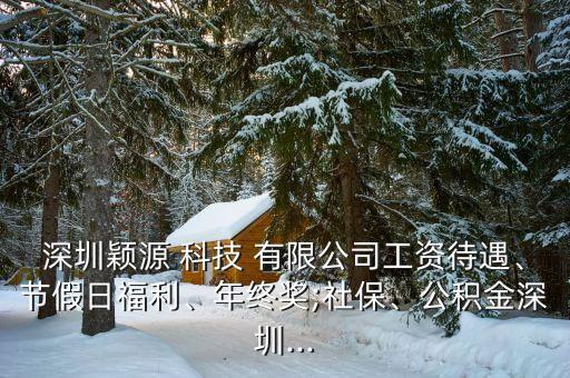 深圳穎源 科技 有限公司工資待遇、節(jié)假日福利、年終獎;社保、公積金深圳...