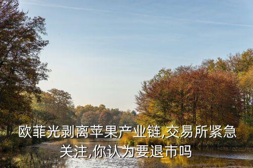  歐菲光剝離蘋果產(chǎn)業(yè)鏈,交易所緊急關注,你認為要退市嗎