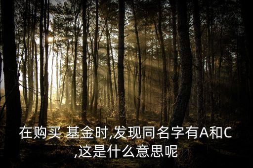在購買 基金時,發(fā)現同名字有A和C,這是什么意思呢